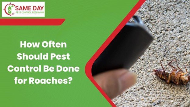 Pest Control Be Done for Roaches