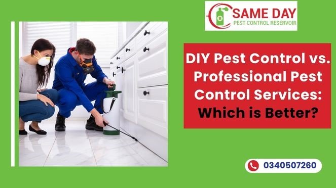 Get Rid of Wasps in Your Yard or House