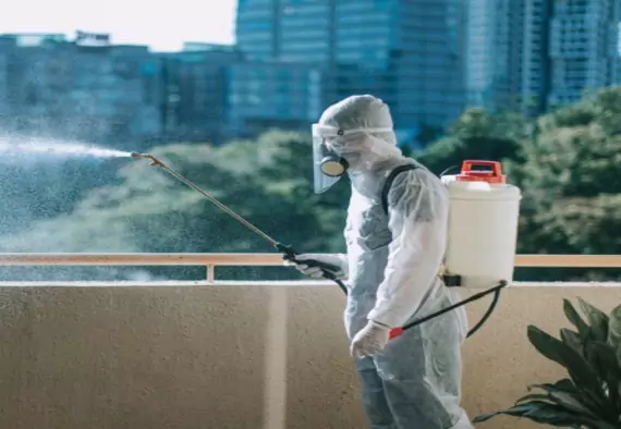 Pest Control In Reservoir