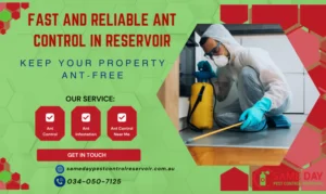 Fast and Reliable Ant Control in Reservoir